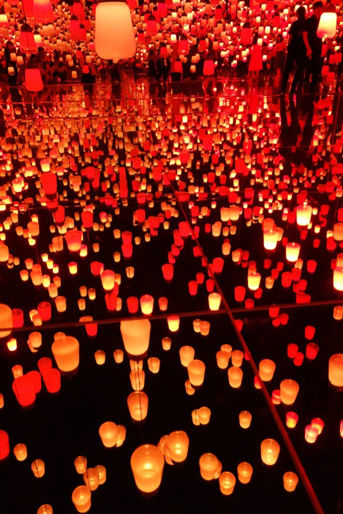 Forest of Lamps