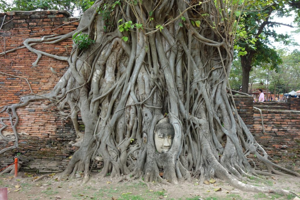 Ayutthaya Historical Park
