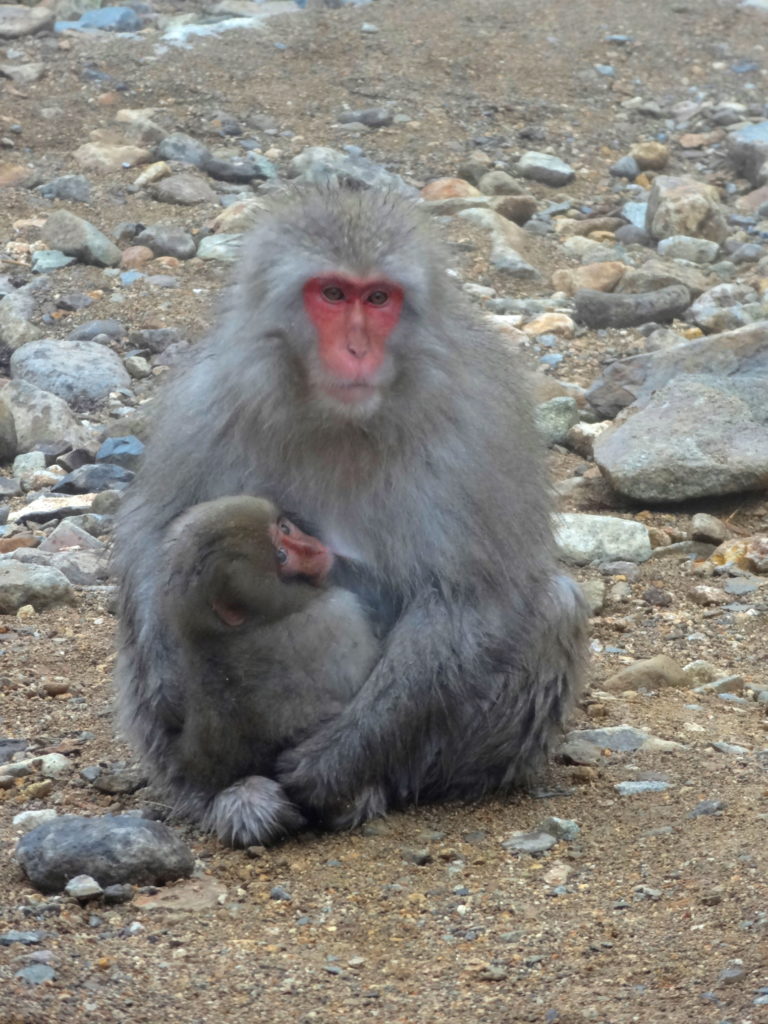 Mother and baby