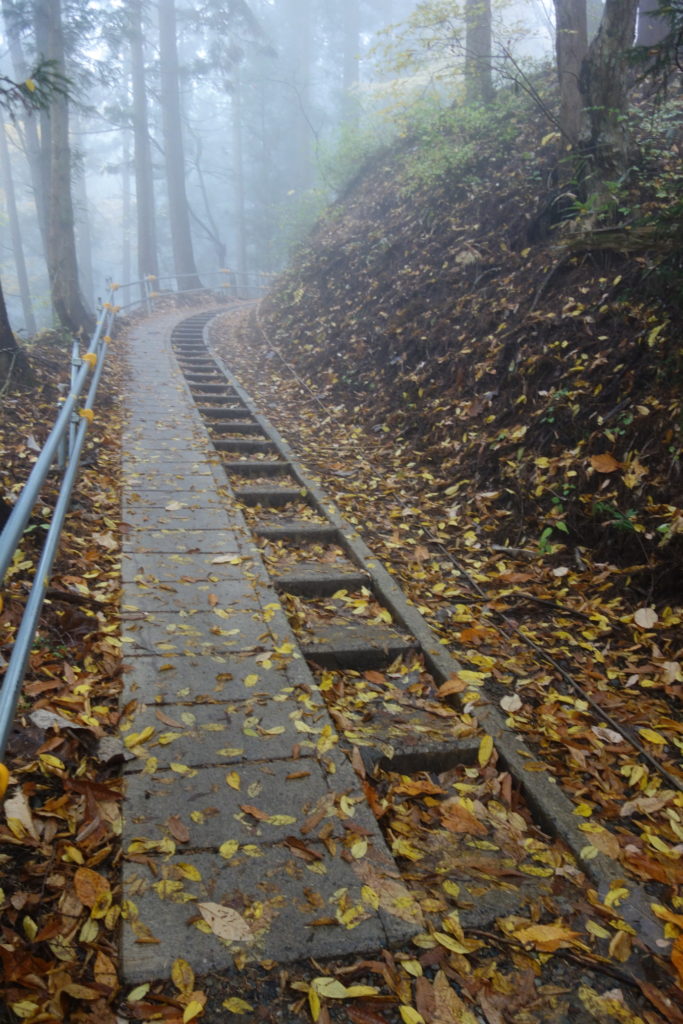 The walk to the Jigokudani Park