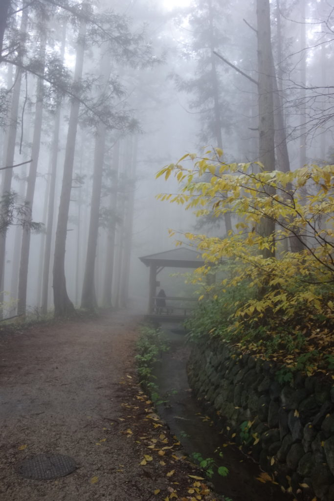 The walk to the Jigokudani Park