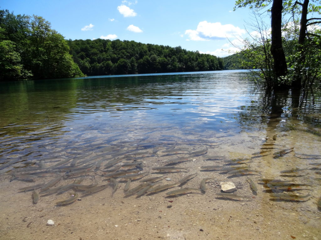 Plitvice Lakes National Park