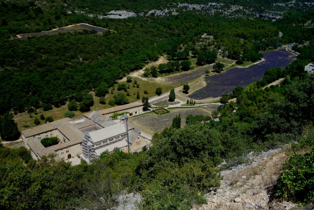 Sénanque Abbey seen from above, with big lavender fields