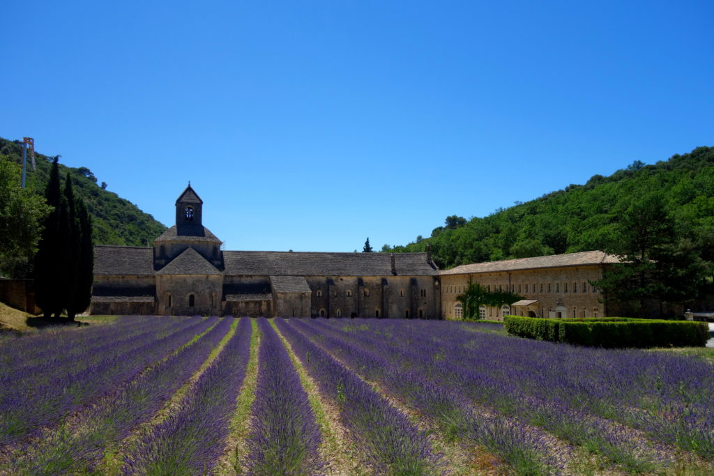 Abbaye de Sénanque, Provence