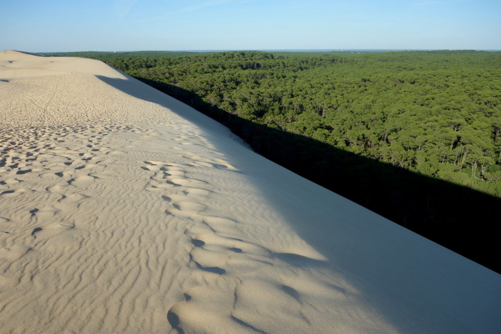 Summit of the dune where we stopped our climb