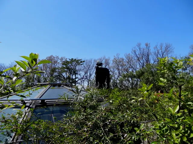 Garden - Robot from the Castle In The Sky