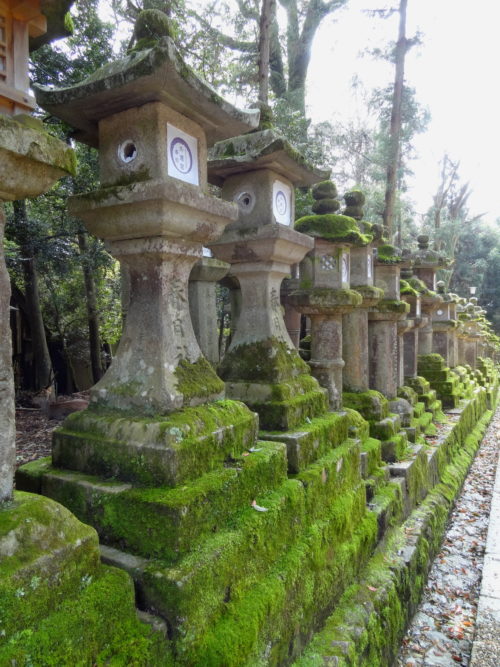 Lanterns in Nara