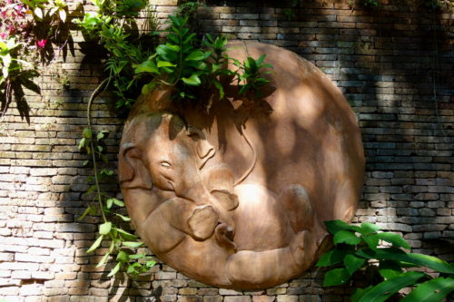 Elephant decoration on a wall