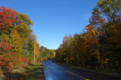 Walk from a cottage in Canada