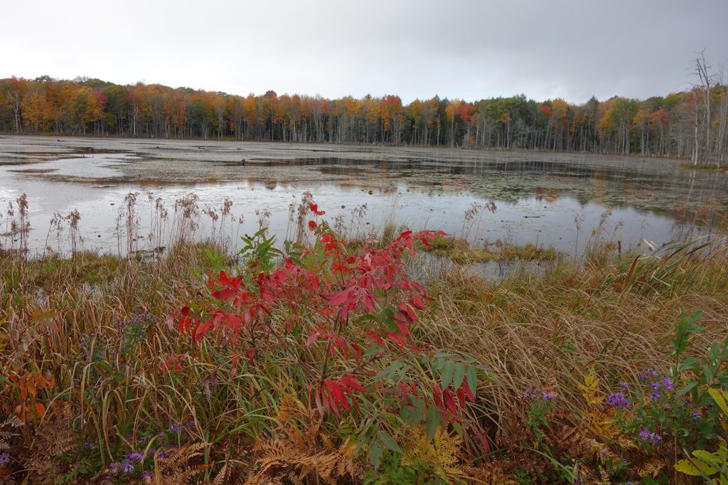 Lake in Canada