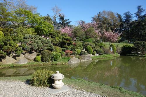 Pond in the Japanese garden