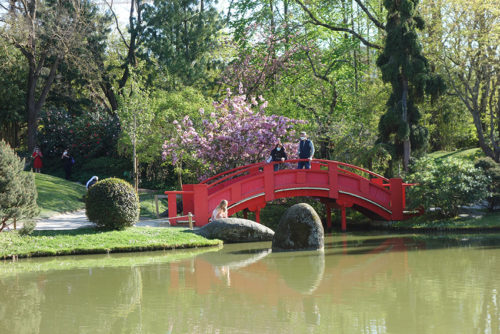 Red bridge in the Japanese garden