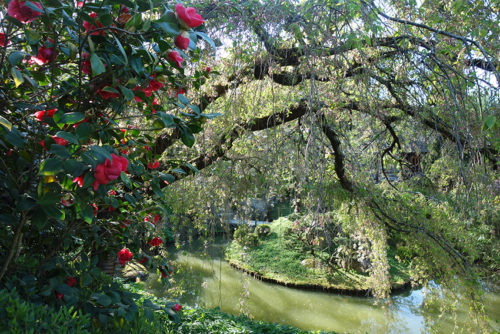 Toulouse Japanese garden