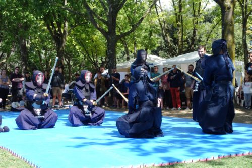 Martial art in Compans Caffarelli Park