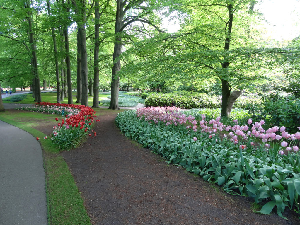 Keukenhof path