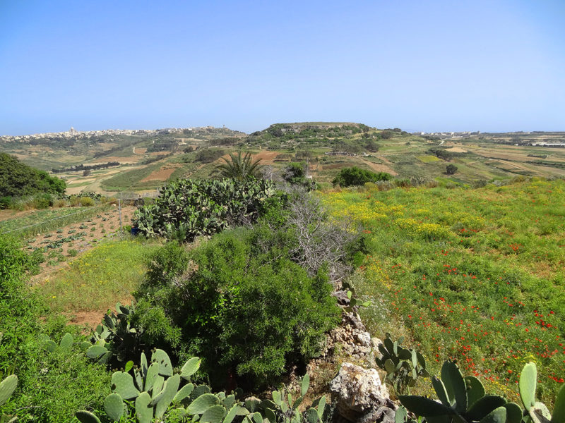 Countryside from the Ġgantija Temples