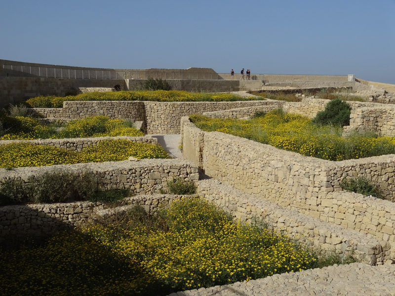 Walls of Victoria's citadel