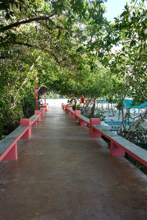 Celestún Biosphere Reserve