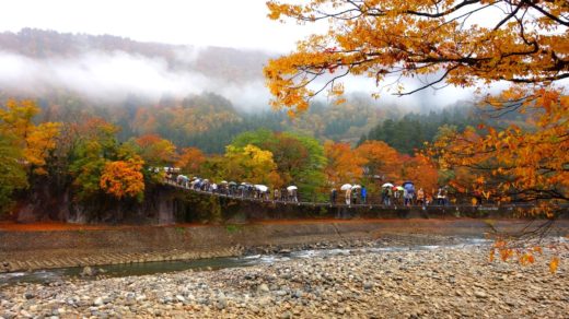 Bridge to Shirakawago couv