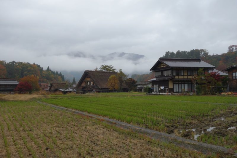 Shirakawago