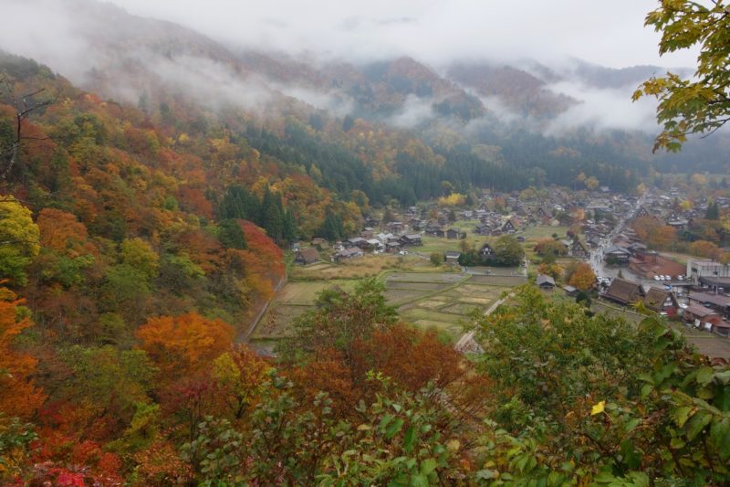 Shirakawago from above