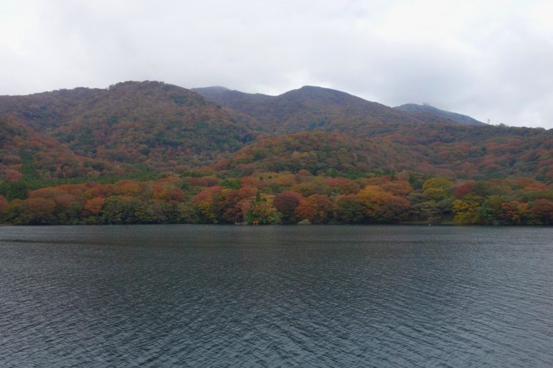 Autumn on Lake Ashi