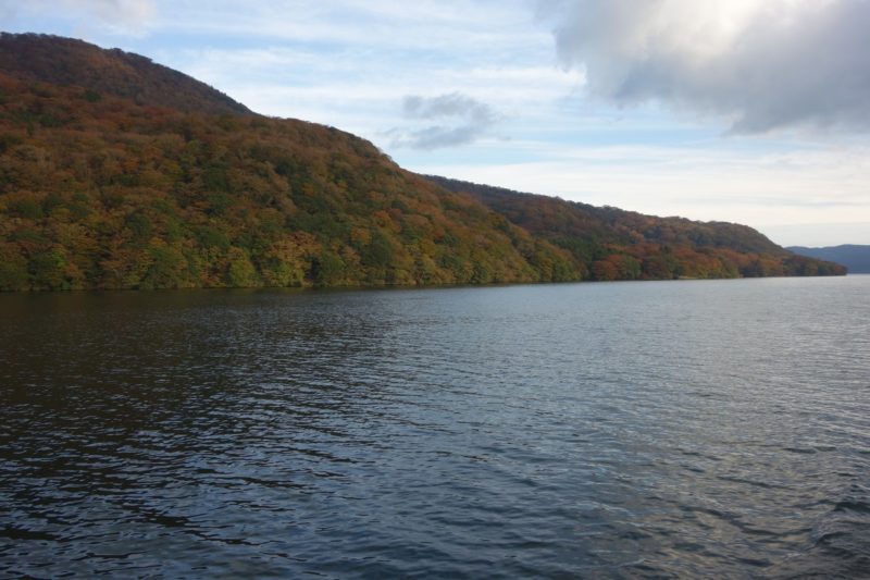 Cruise on Lake Ashi