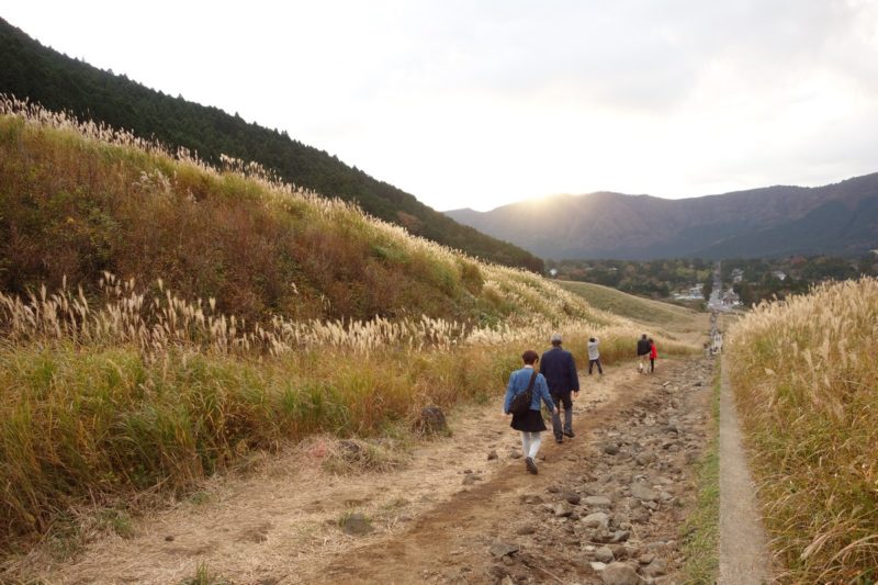 Hakone Grass Fields