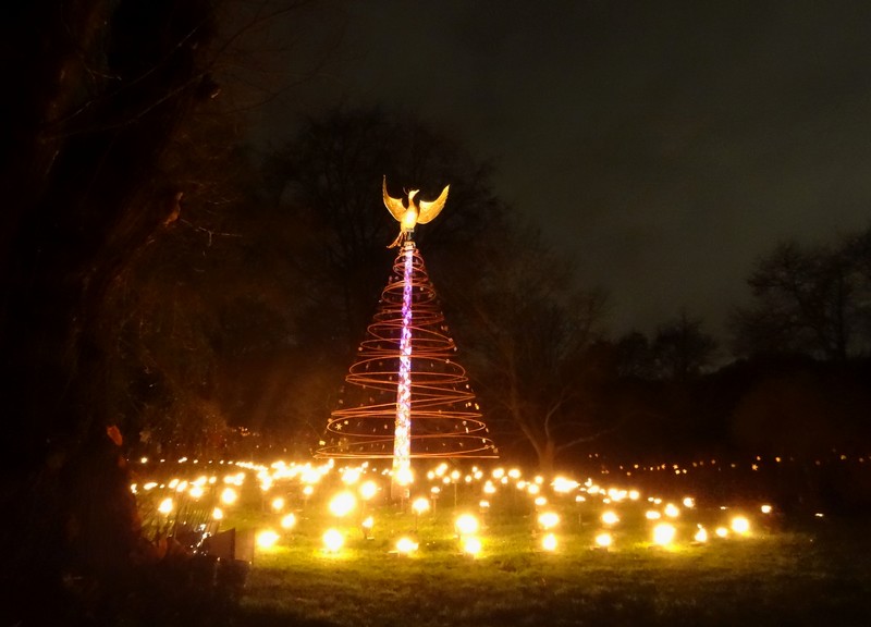 Phoenix in Kew Gardens