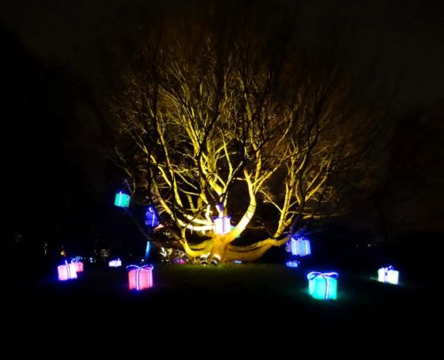 Trees and gift boxes - Kew