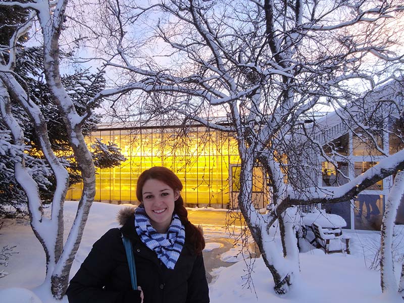 Friðheimar Greenhouse - December 2014