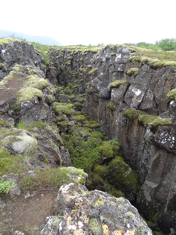 Fissure in Þingvellir