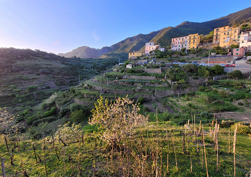 Sun going down on Corniglia