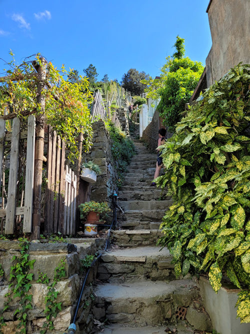 Stairs to Riomaggiore