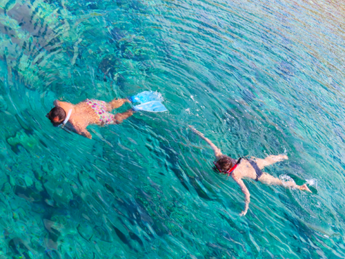 Snorkeling in Aqaba