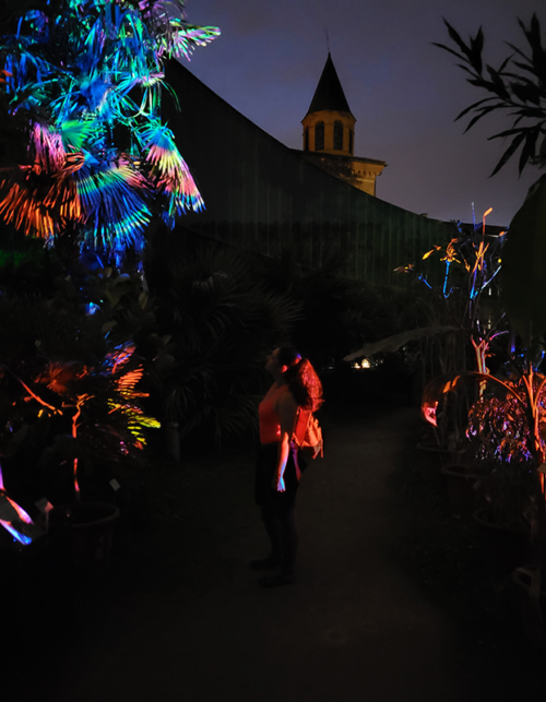 Museum at night, Toulouse