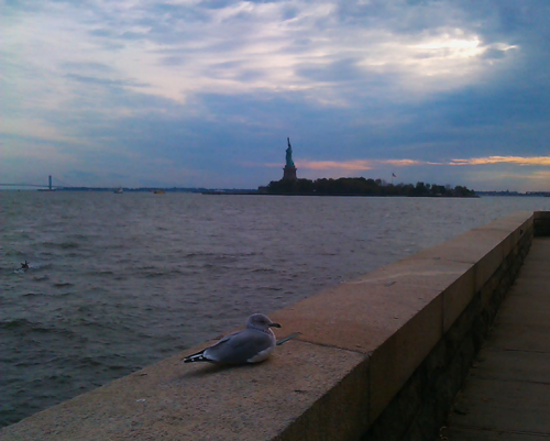 A seagull in front of the Statue of Liberty