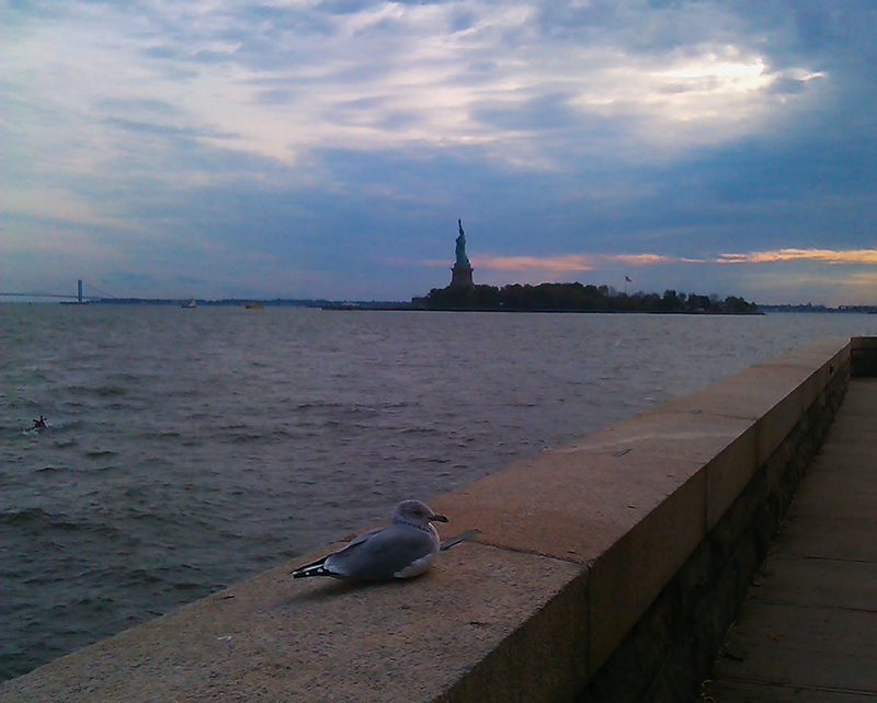 A seagull in front of the Statue of Liberty A seagull in front of the Statue of Liberty