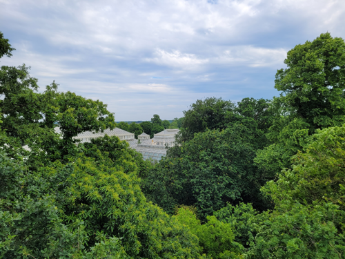 Greenhouse from treetop