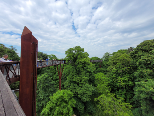 Treetop Walkway