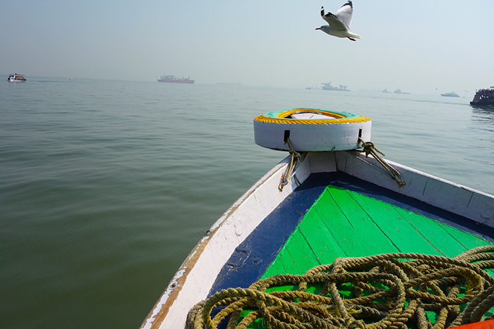 Seagull flying near the boat