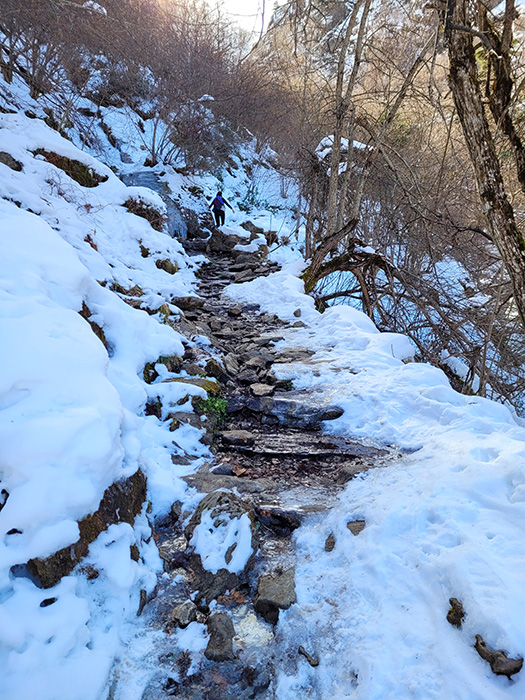 A cascade on the way