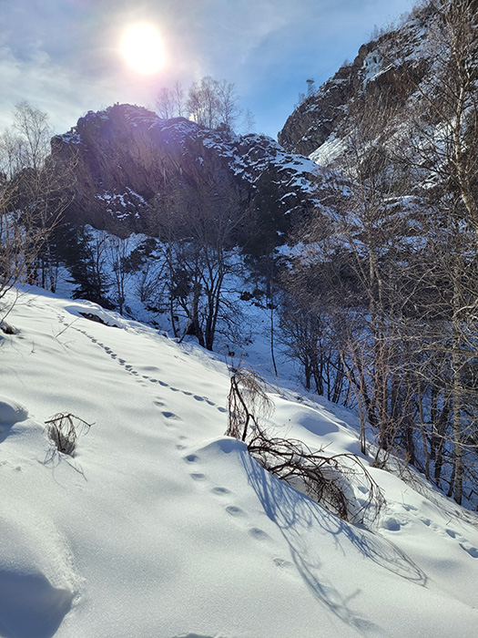 Footsteps in the snow