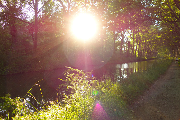 Sun in Toulouse