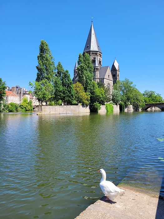 A goose and a church