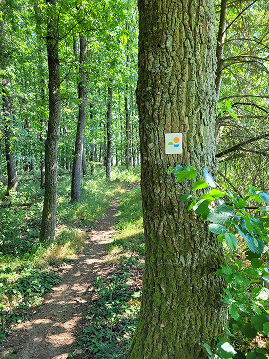 Hike around Esch-sur-Sûre