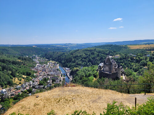 Castle from above