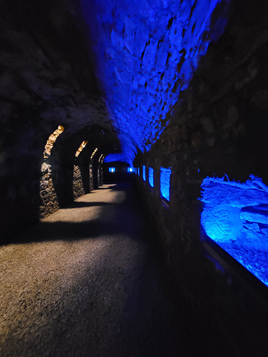 Petrusse casemates mushroom cellars