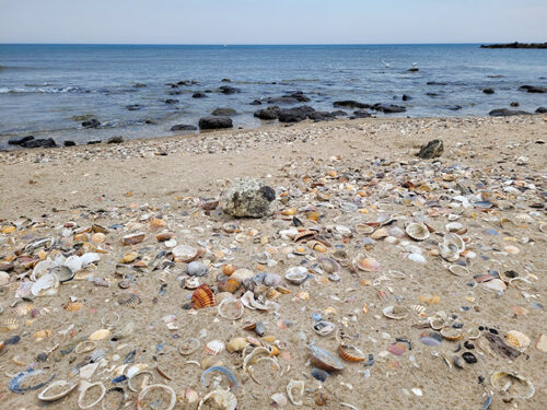 Plage de la Roquille