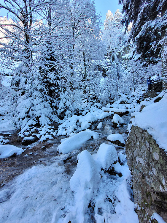 river near the waterfall of Saut du Gier